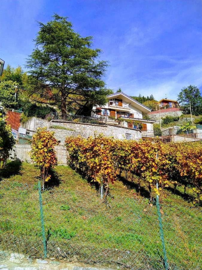 Appartamenti Bioula Cir Aosta N 0247 Luaran gambar